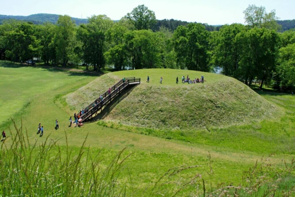 Photo of Others in Cartersville