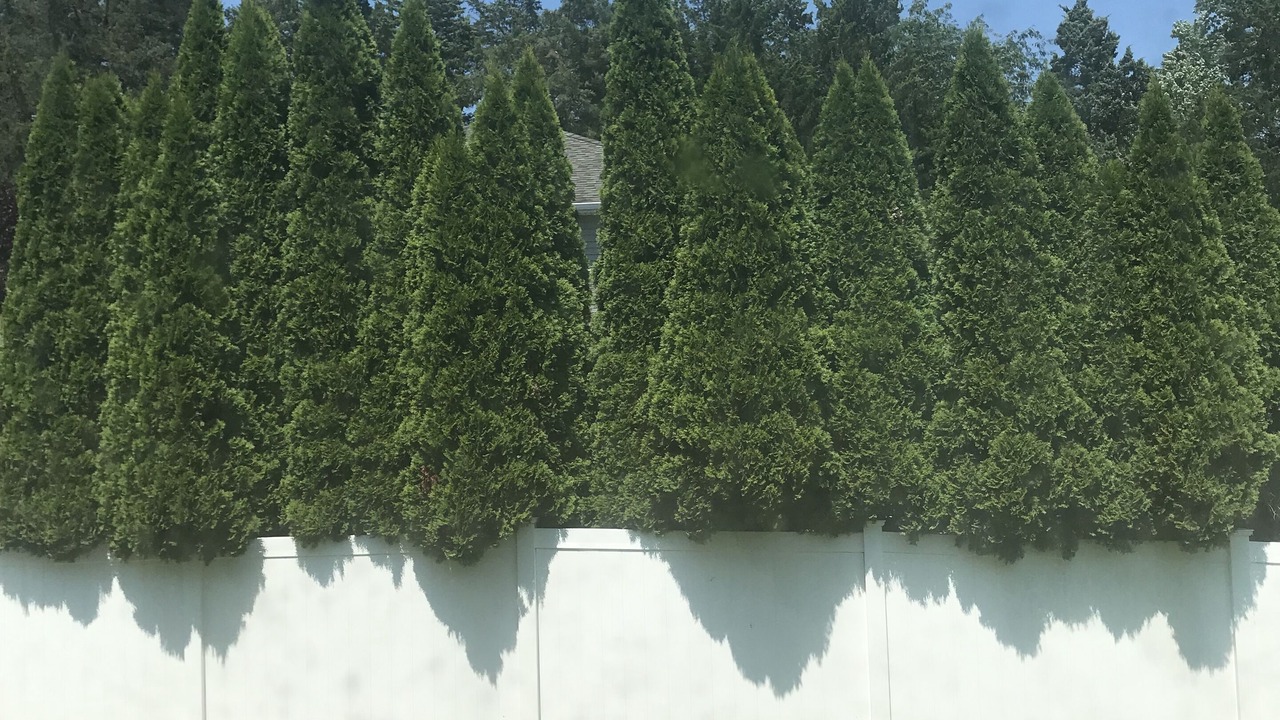 Photo of Outdoor in Adelphia