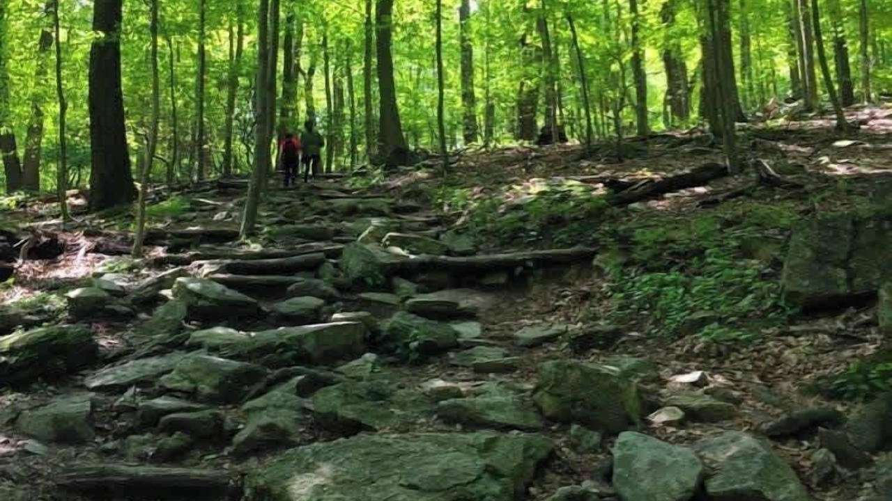 Photo of Outdoor in Dickerson
