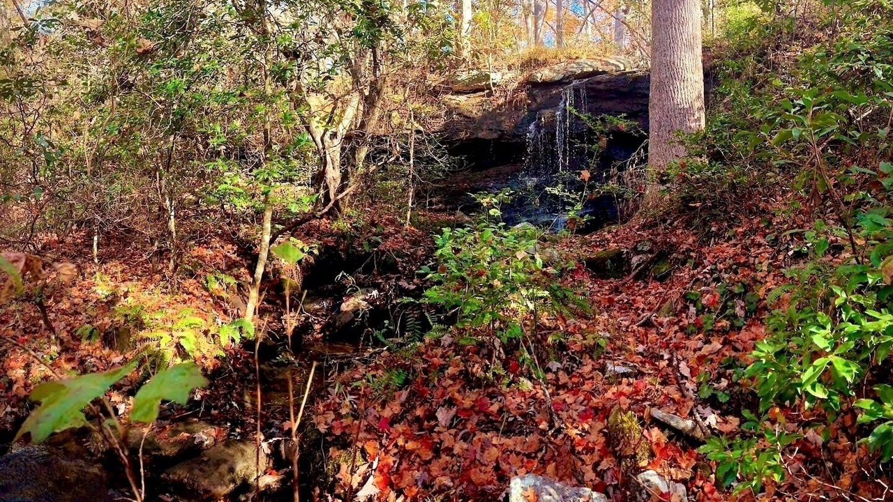 Photo of Outdoor in Fort Payne