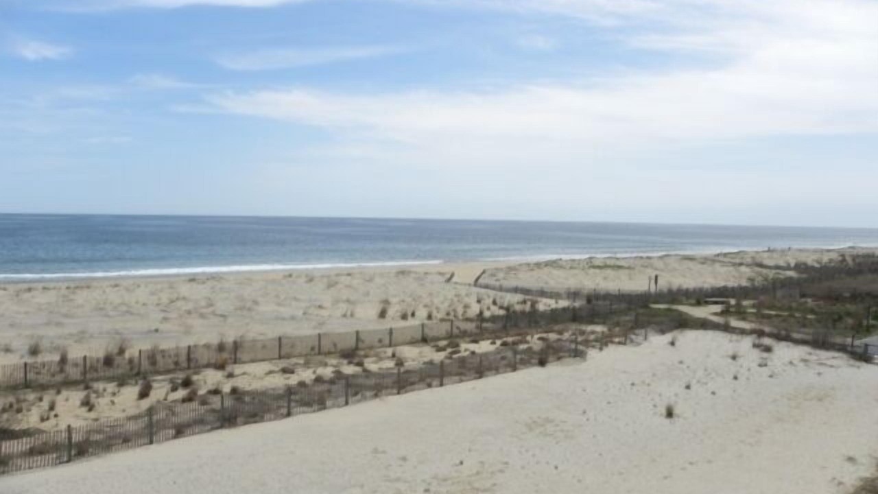 Photo of Others in North Ocean City