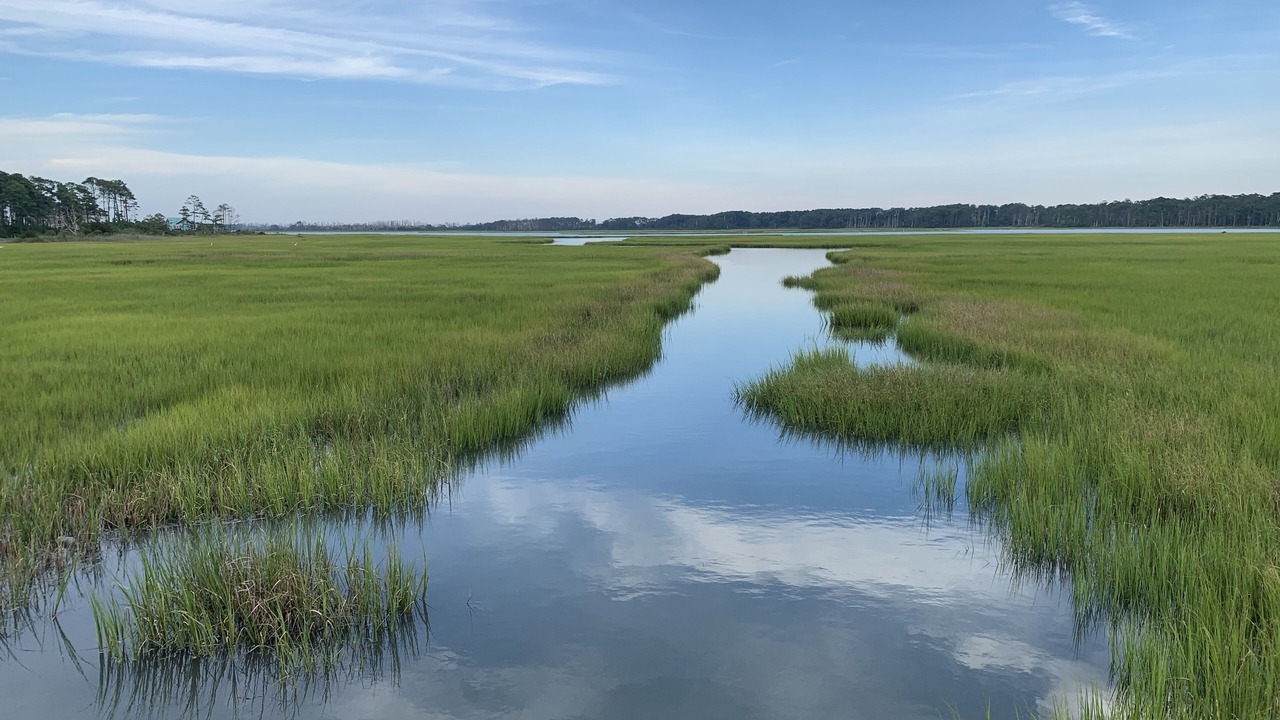 Photo of Others in Chincoteague
