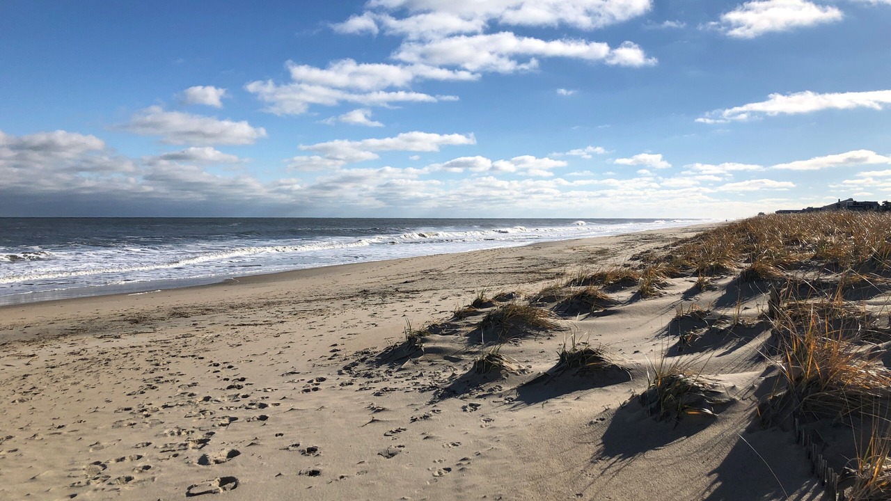 Photo of Others in Rehoboth by the Sea