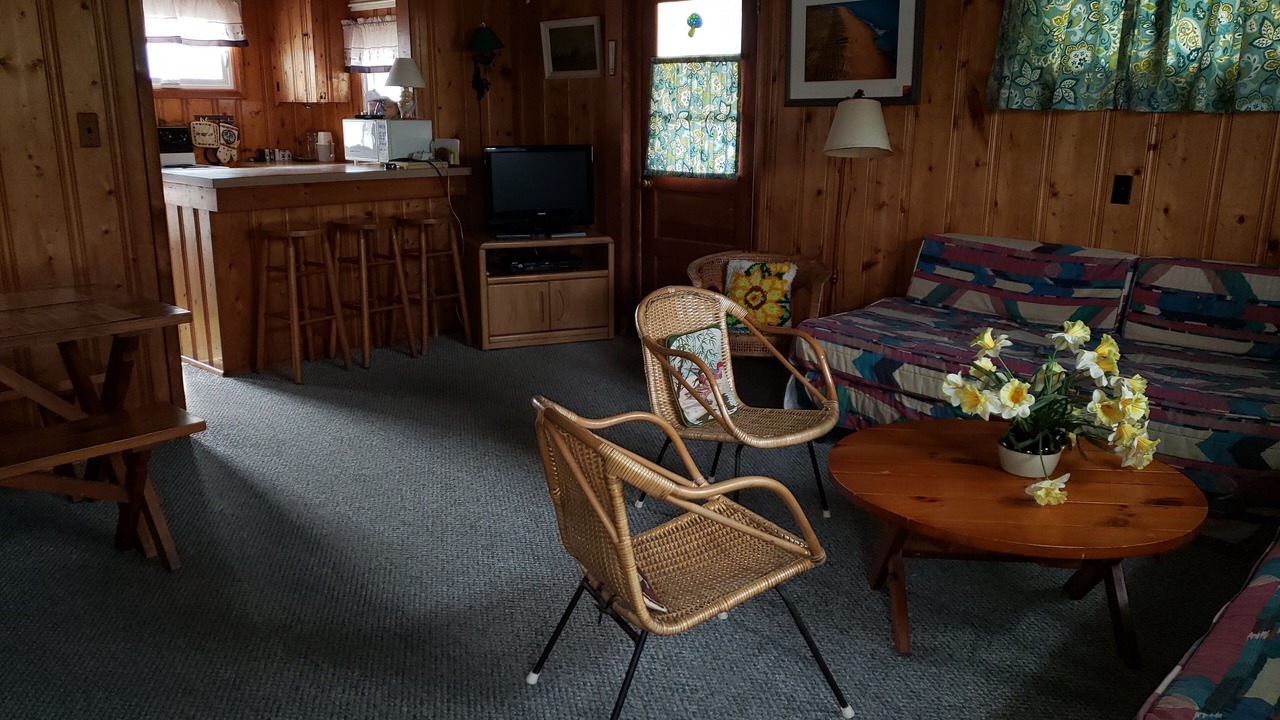 Photo of Livingroom in Dewey Beach