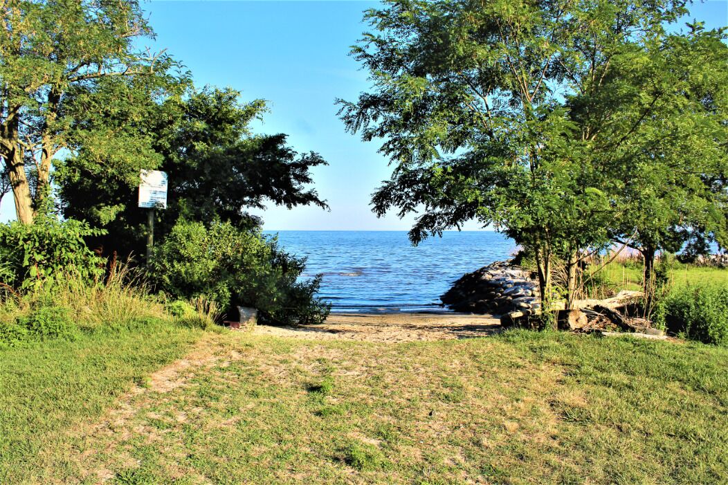 Photo of Others in Cape Anne