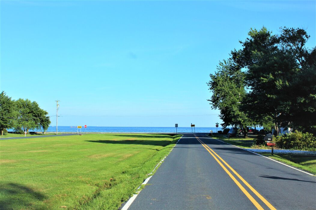 Photo of Others in Cape Anne