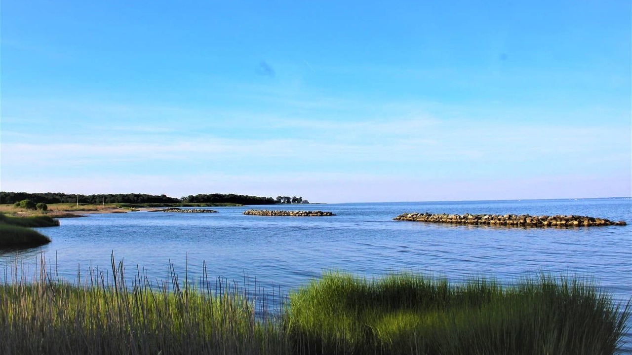 Photo of Others in Cape Anne