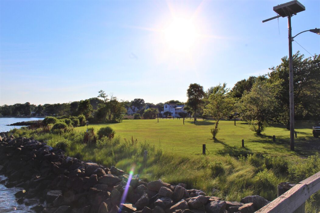 Photo of Others in Cape Anne