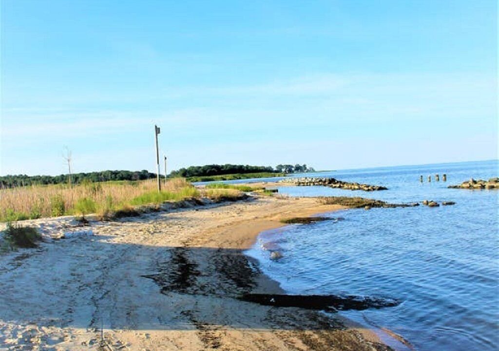 Photo of Others in Cape Anne