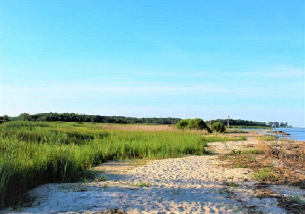 Photo of Others in Cape Anne