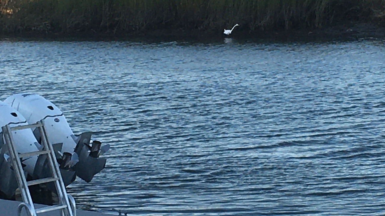 Photo of Others in North Wildwood