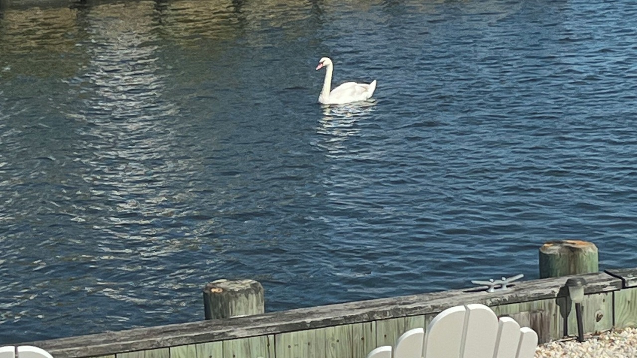 Photo of Outdoor in Beach Haven West
