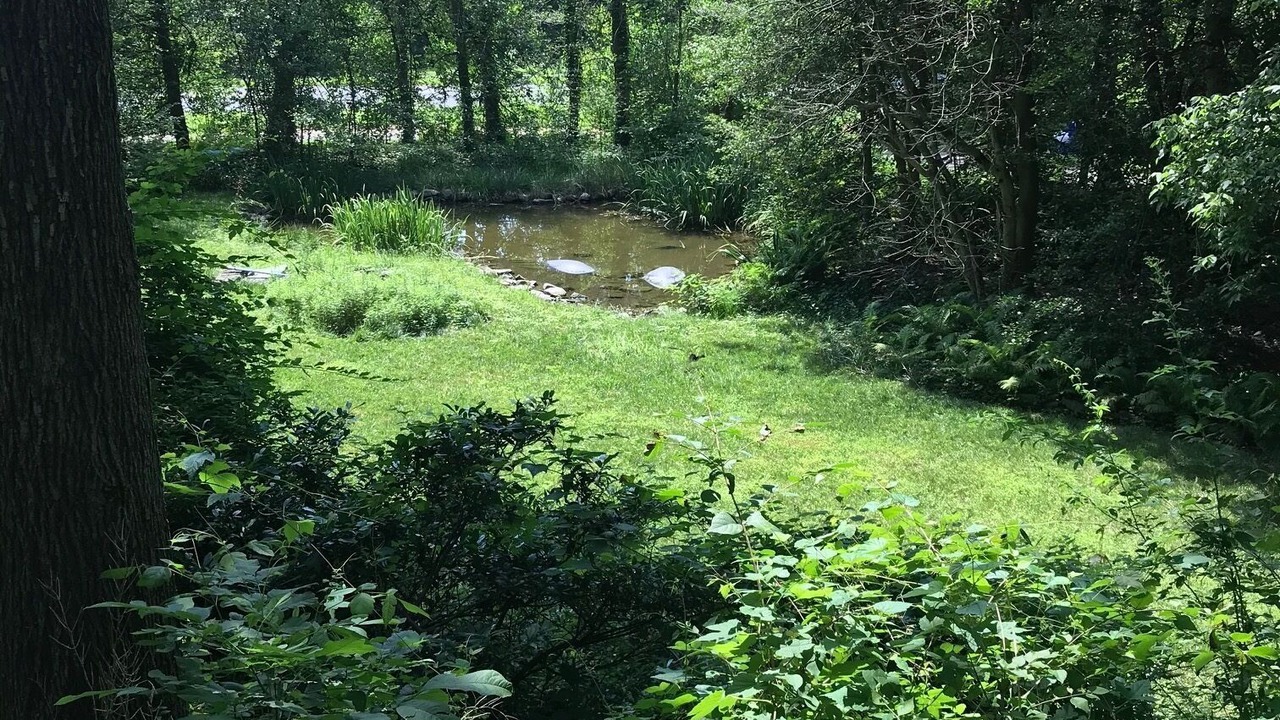 Photo of Outdoor in Brookmont
