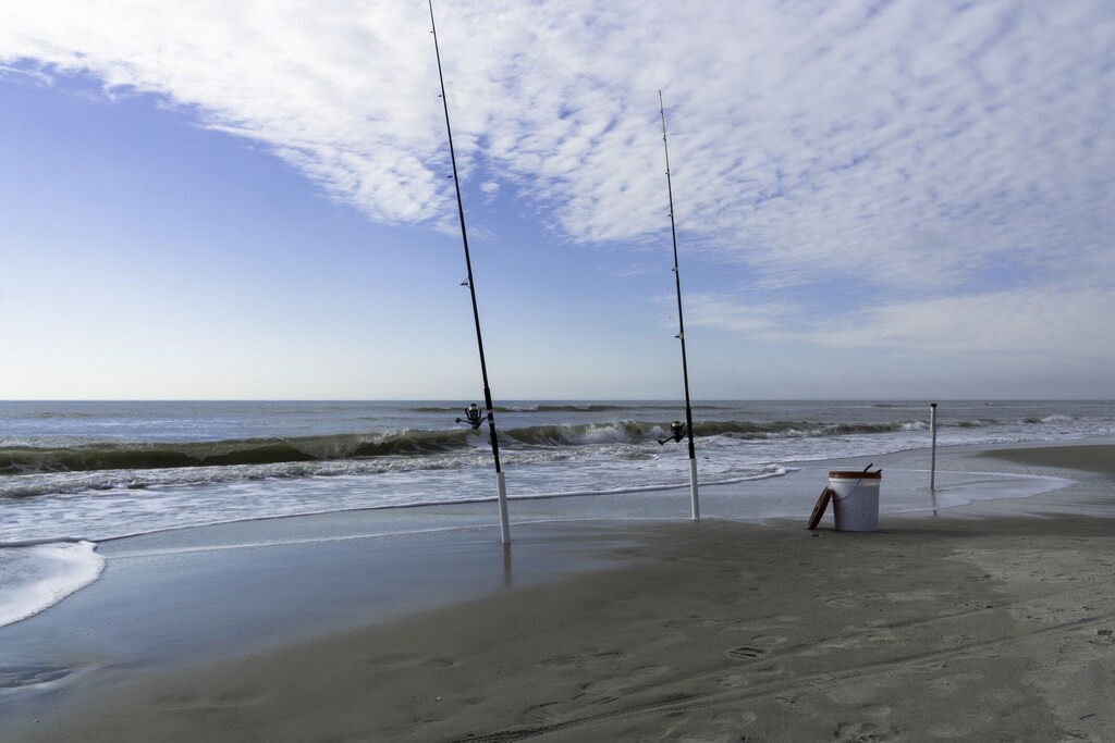 Photo of Outdoor in Palmetto Dunes