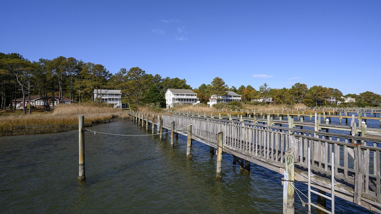 Photo of Others in Piney Island