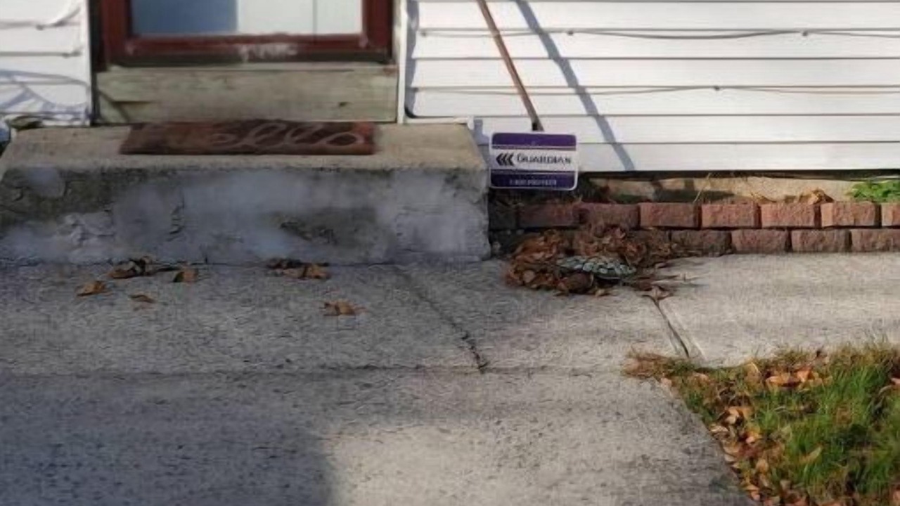 Photo of Outdoor in Richwood