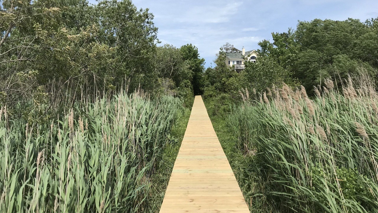 Photo of Outdoor in Monteray Shores