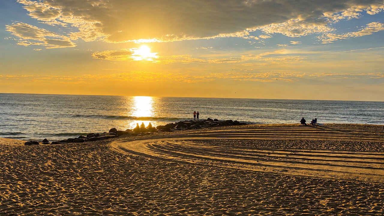 Photo of Others in Long Branch