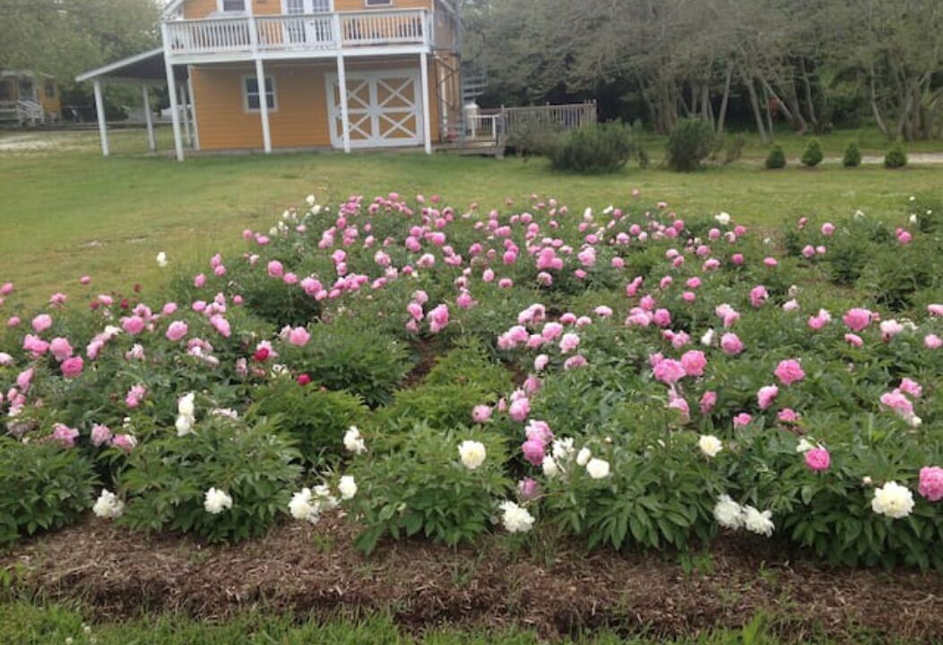 Photo of Outdoor in West Cape May