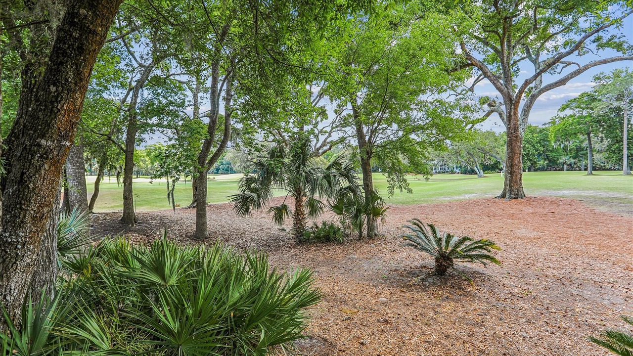 Photo of Others in Palmetto Dunes