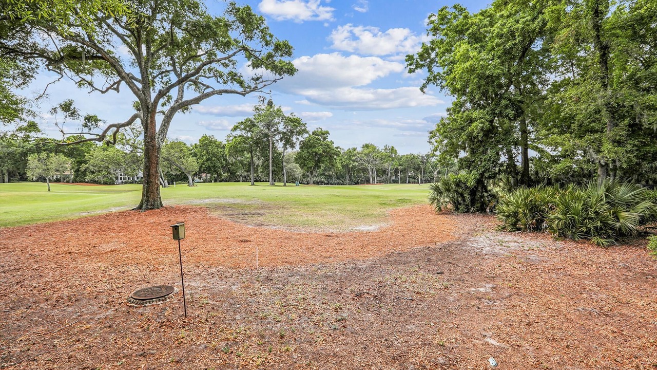 Photo of Others in Palmetto Dunes