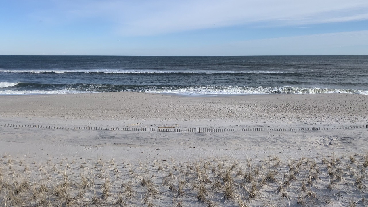 Photo of Others in Dover Beaches North