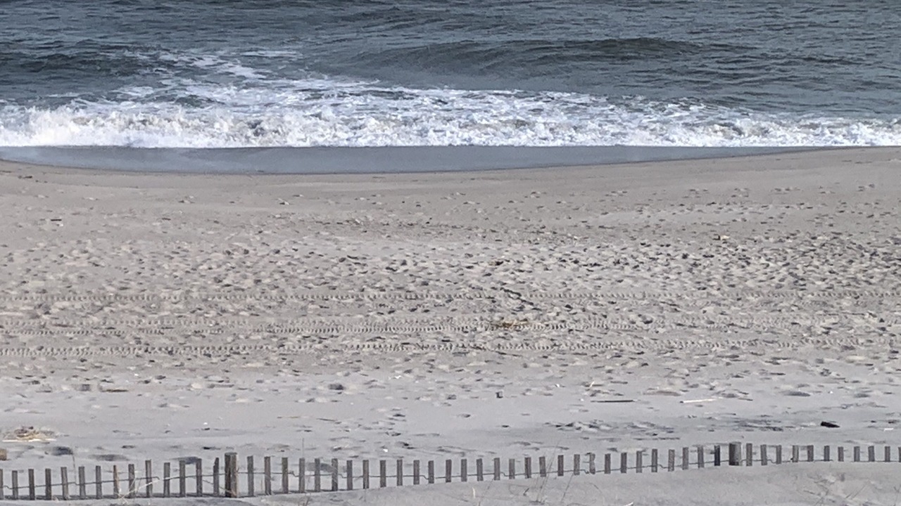 Photo of Others in Dover Beaches North