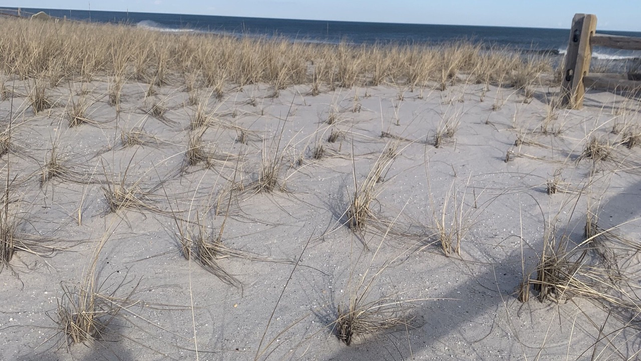 Photo of Others in Dover Beaches North