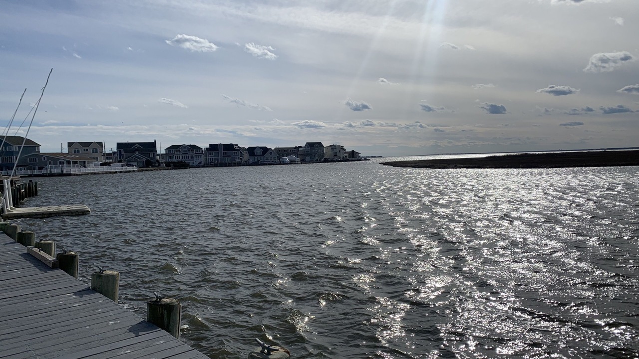 Photo of Others in Dover Beaches North