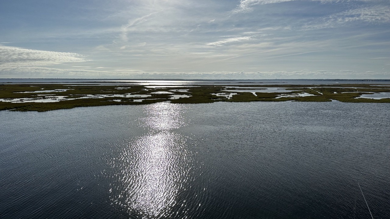 Photo of Others in Dover Beaches North