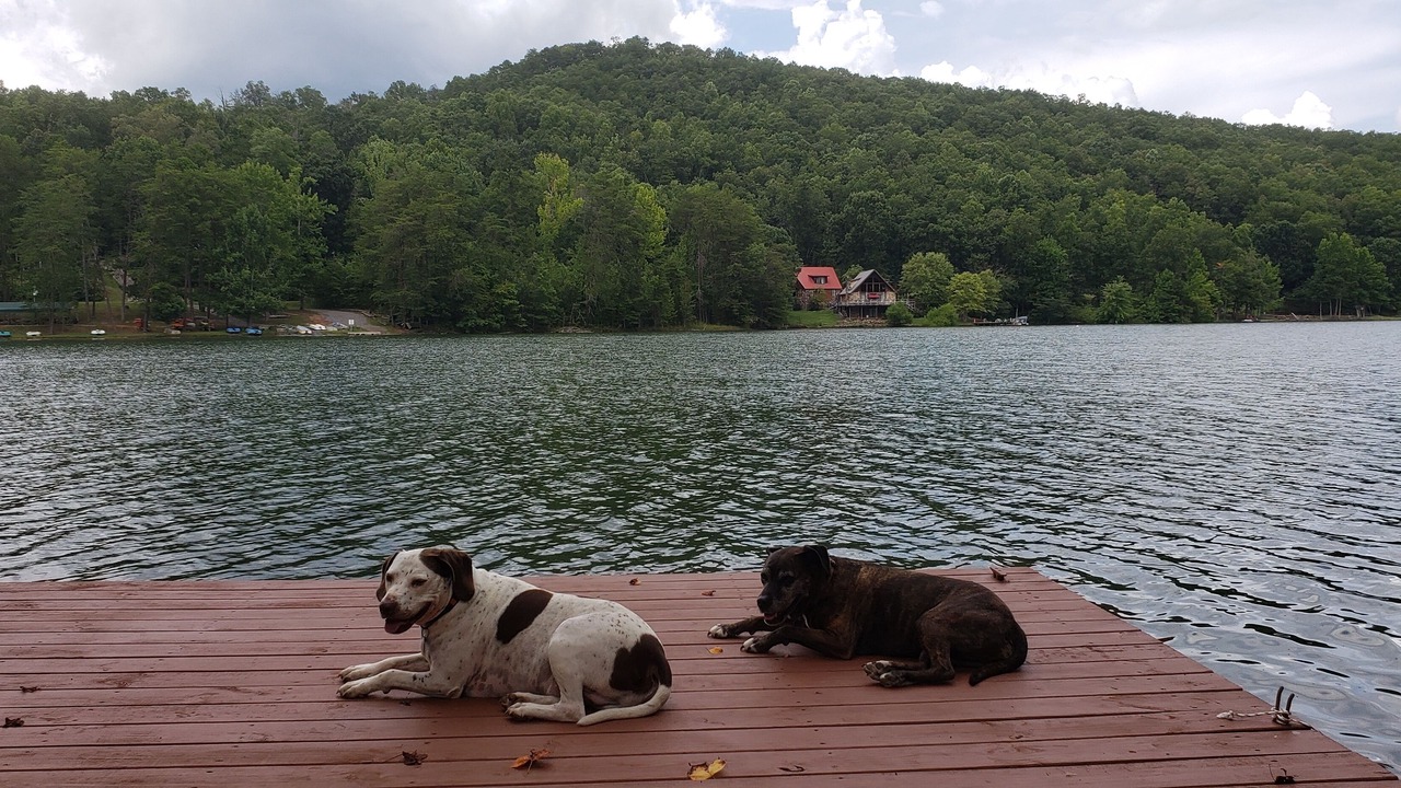Photo of Others in Madisonville