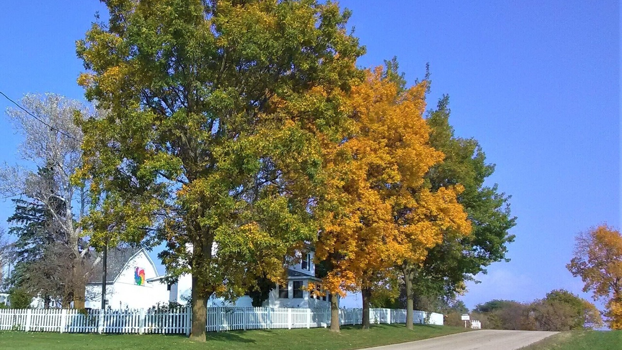 Photo of Others in Monroe