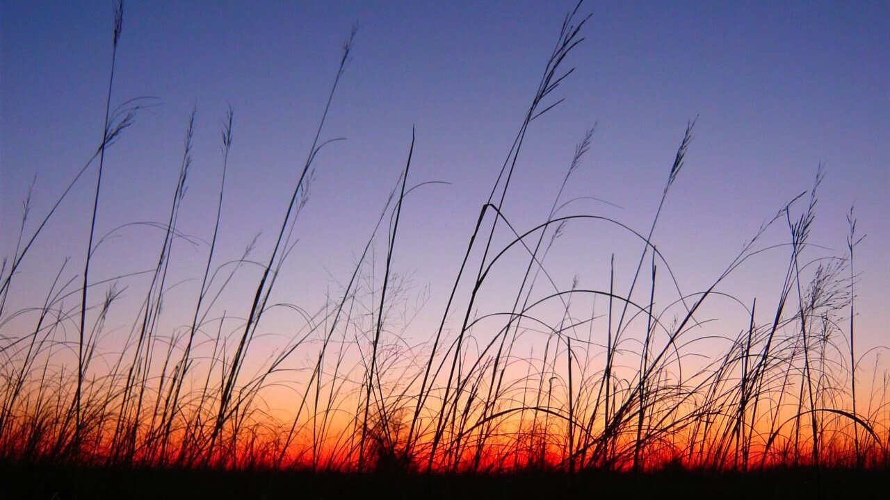 Photo of Outdoor in Coon Rapids