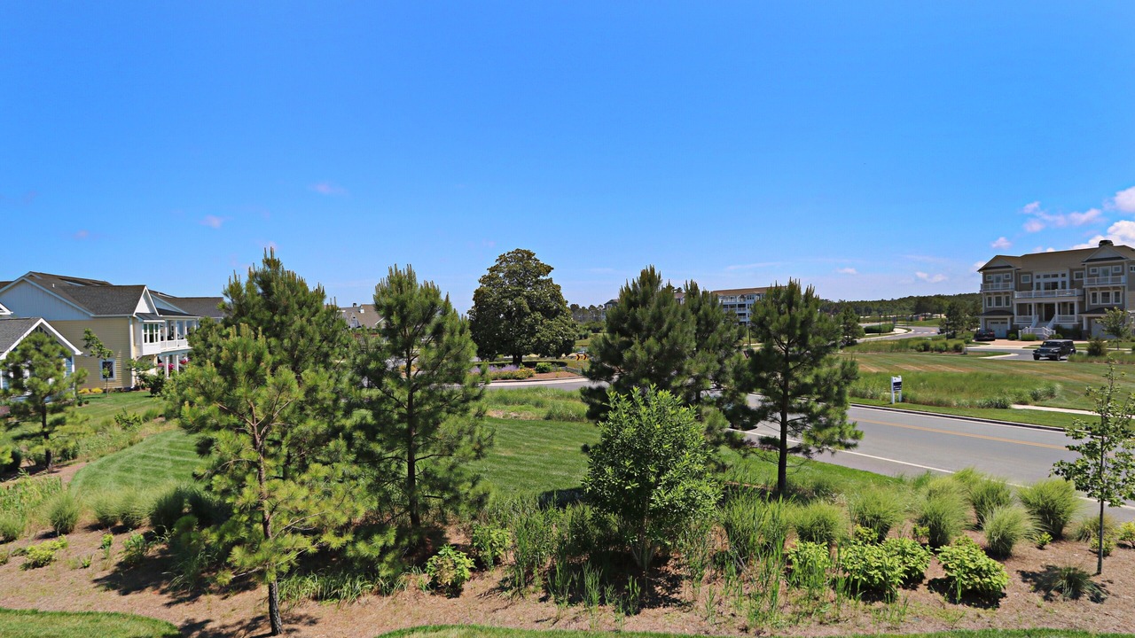 Photo of Outdoor in Bayside