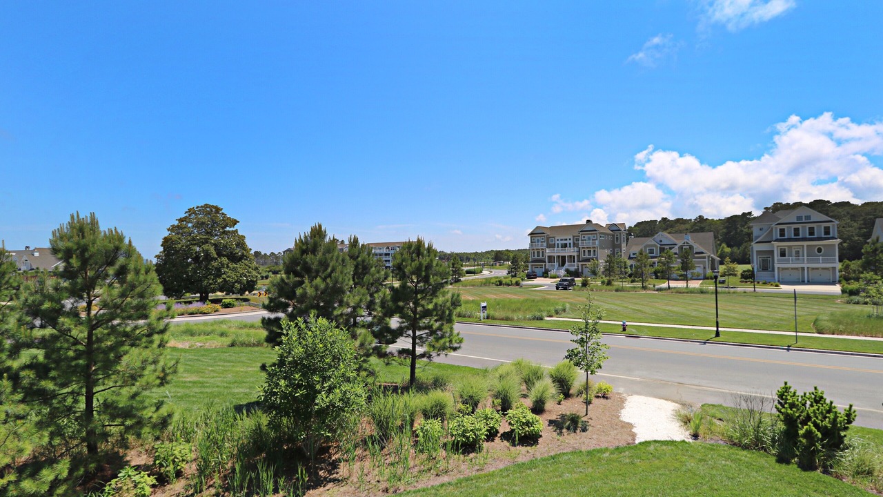 Photo of Outdoor in Bayside