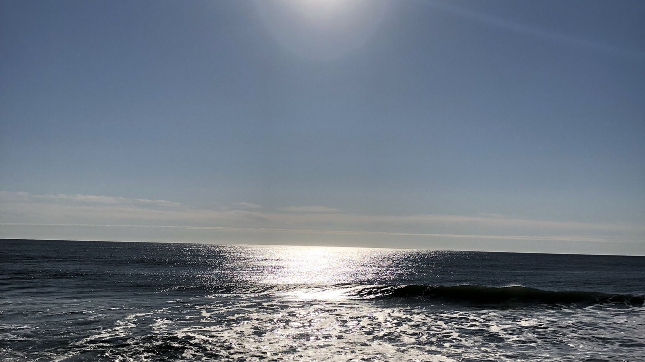 Photo of Others in Normandy Beach