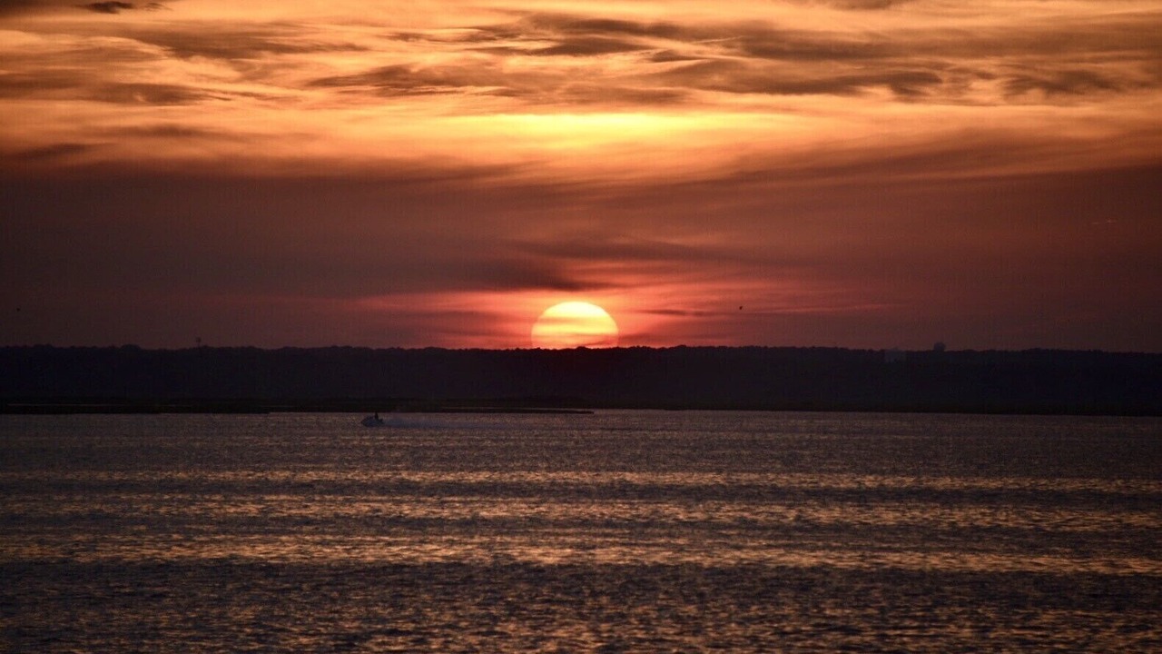 Photo of Others in Harvey Cedars