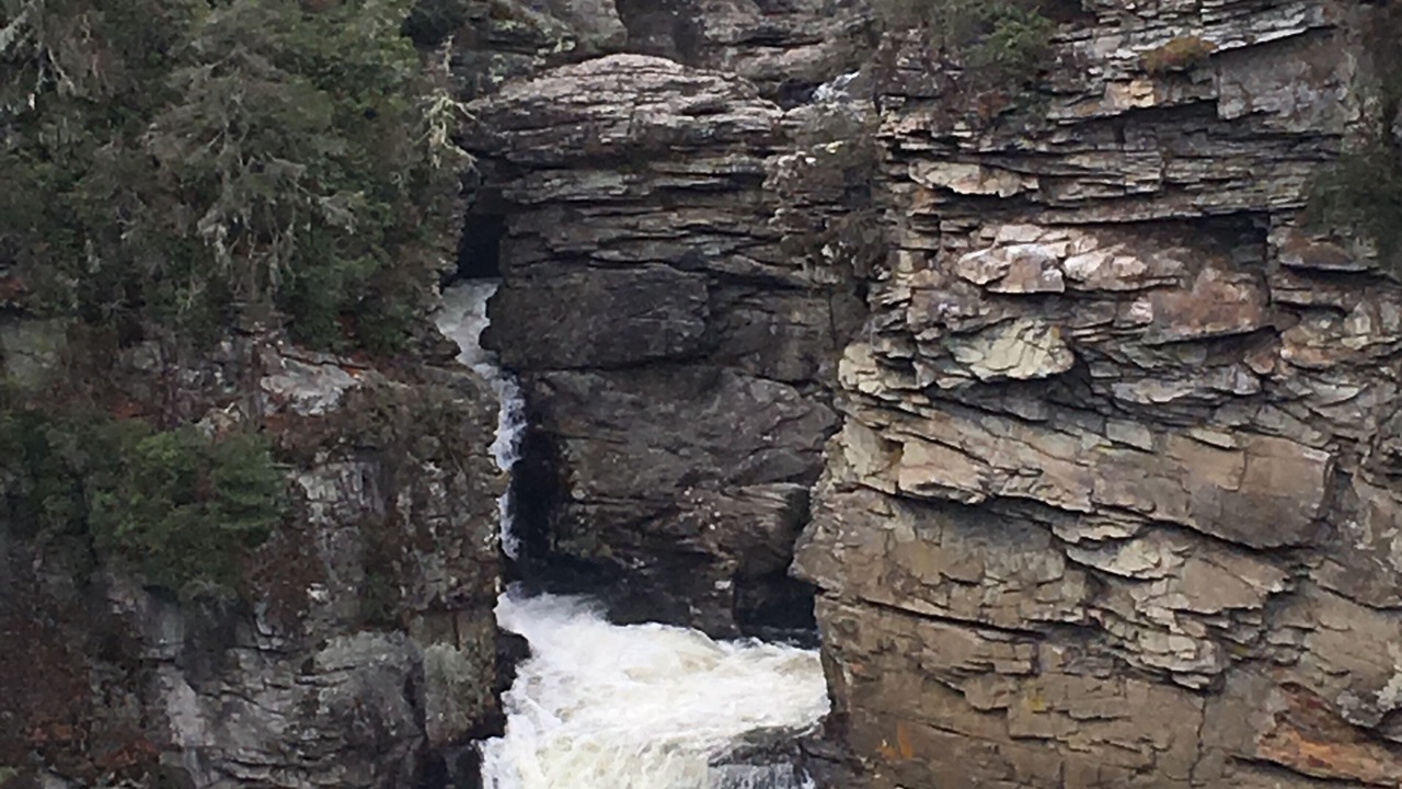 Photo of Outdoor in Newland