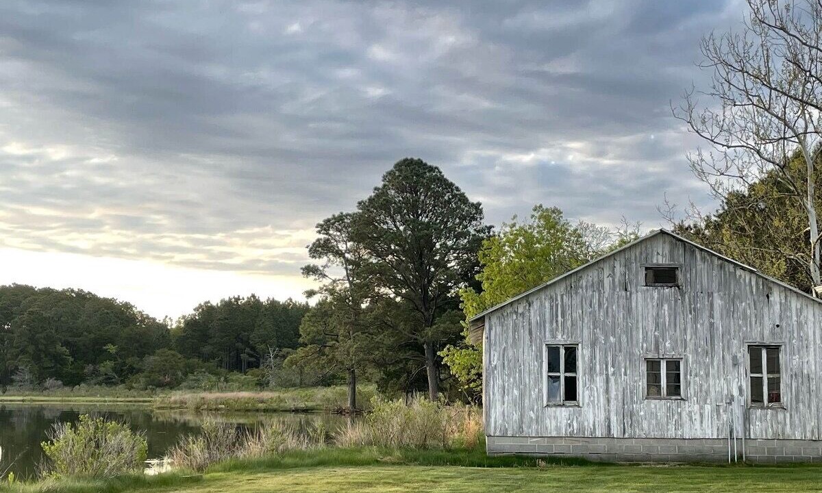 Photo of Outdoor in Cambridge