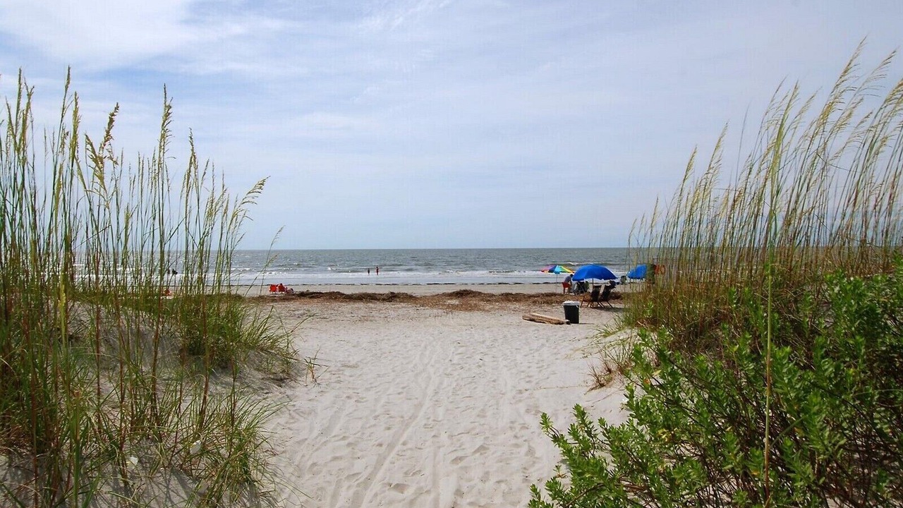 Photo of Others in Palmetto Dunes