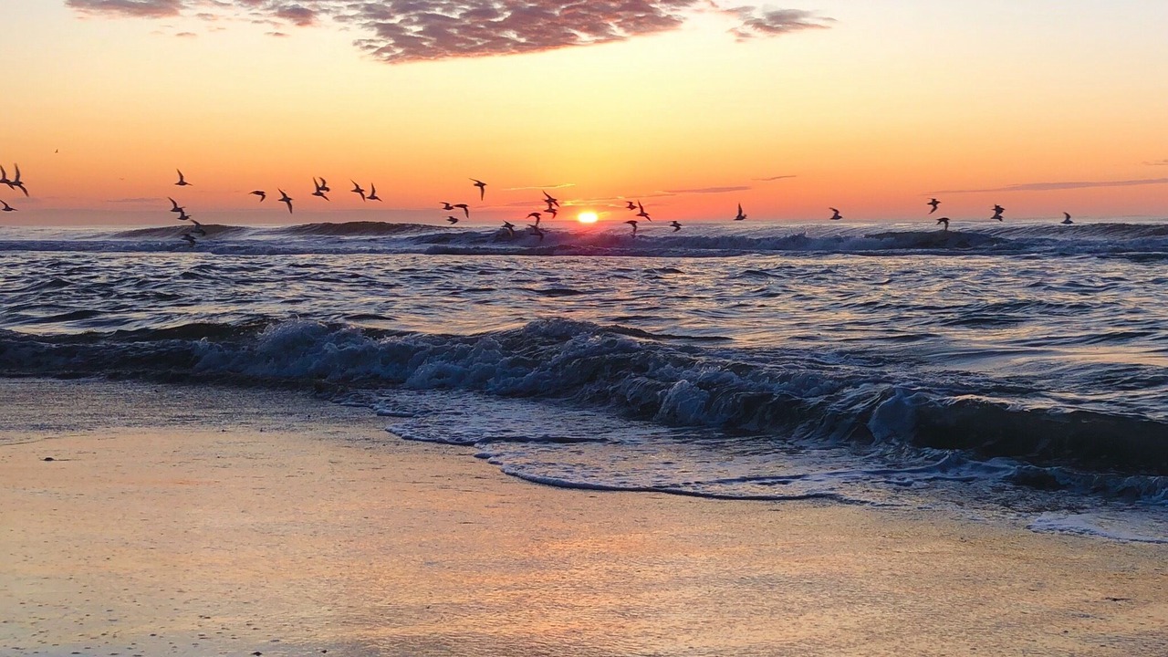 Photo of Others in Brigantine