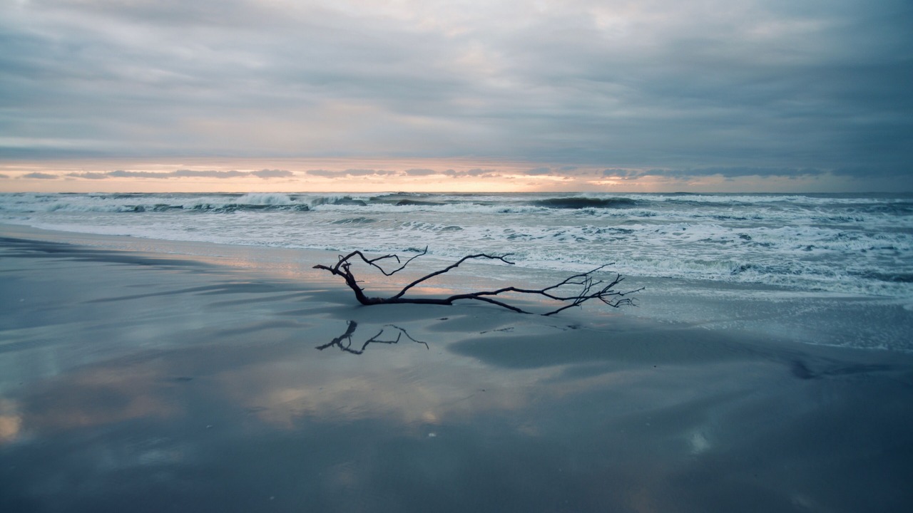 Photo of Others in Brigantine