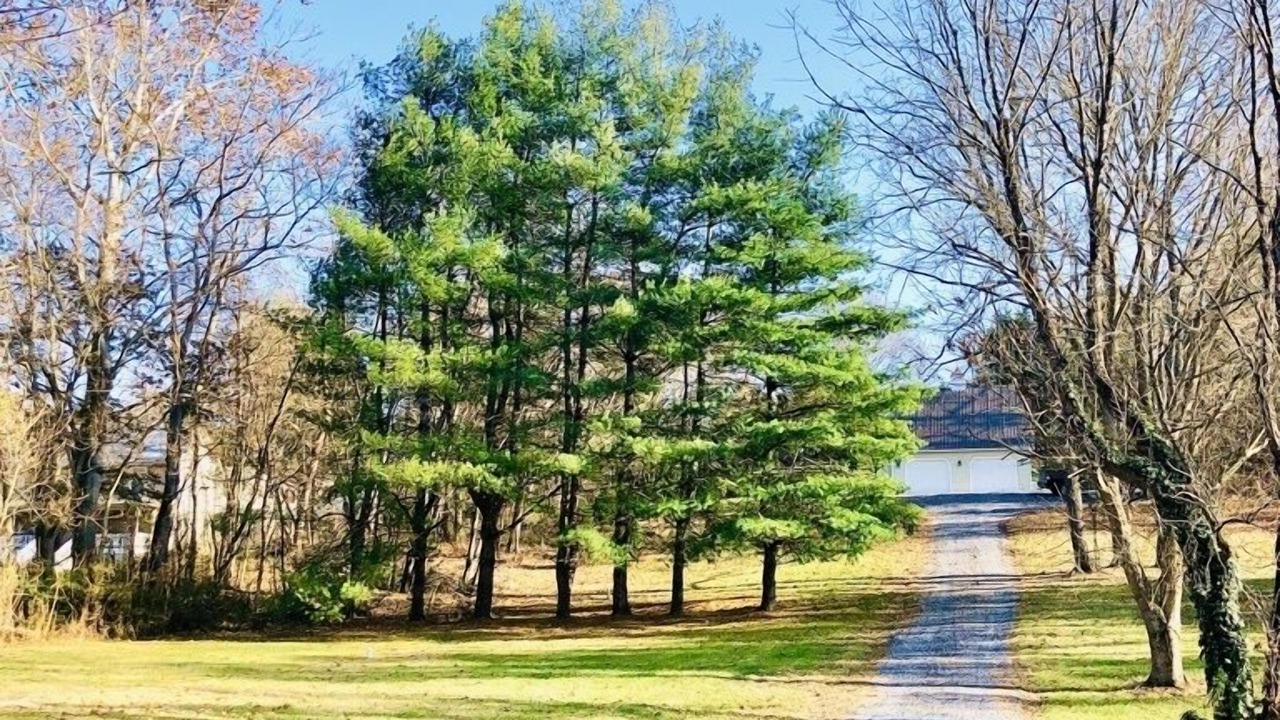 Photo of Others in Fairfield