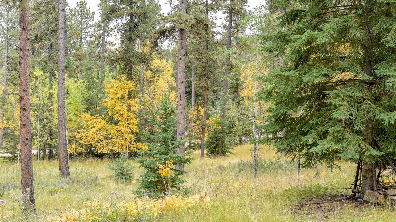 Photo of Outdoor in Lead