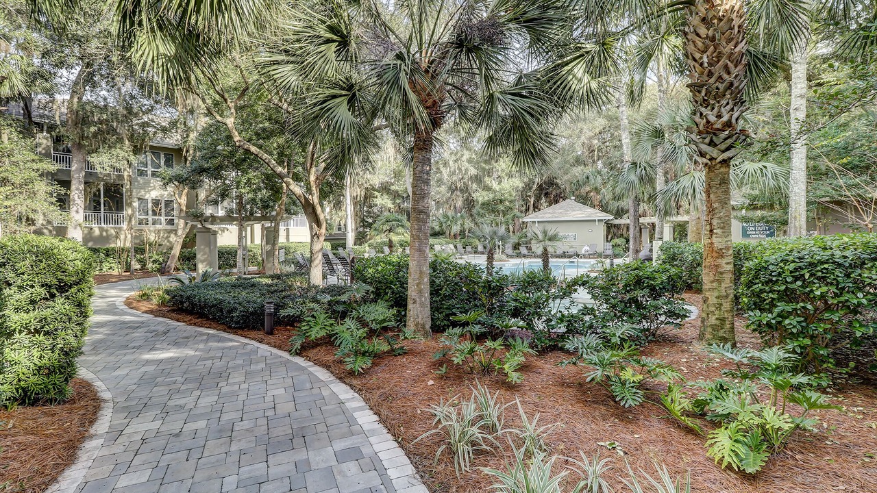 Photo of Others in Palmetto Dunes