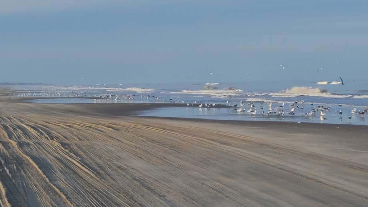 Photo of Others in Corolla