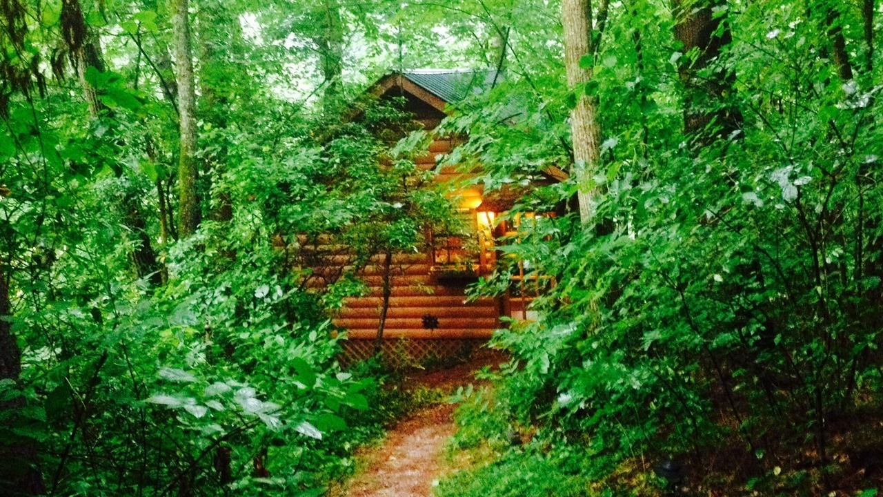 Photo of Others in Ellijay