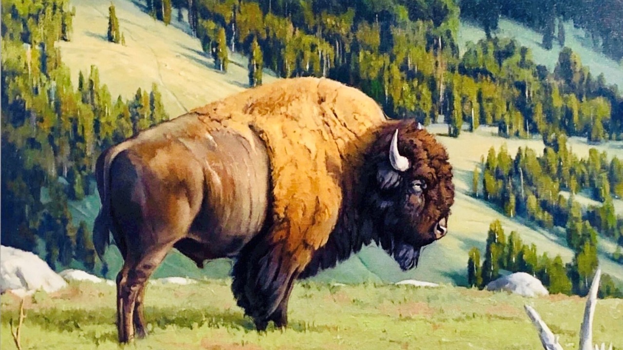 Photo of Others in Deadwood