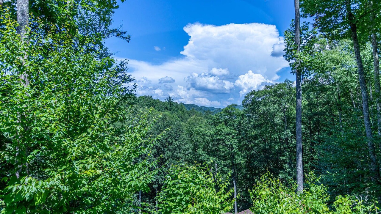 Photo of Outdoor in Boone