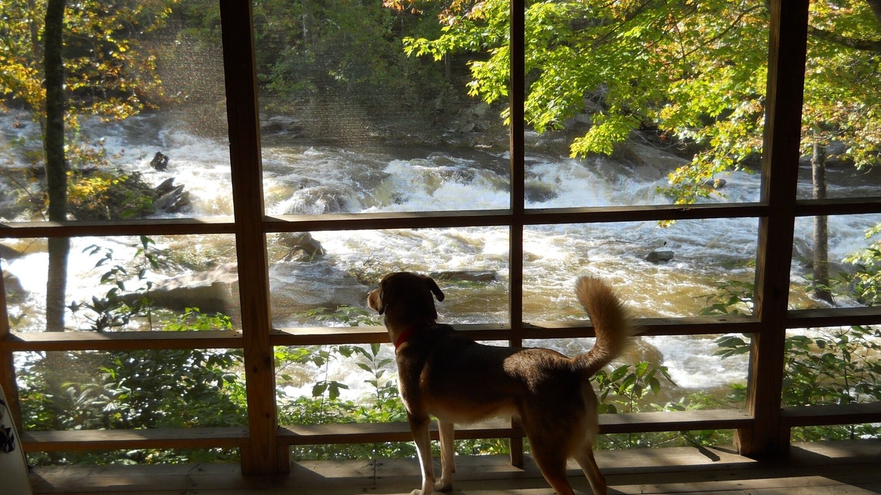 Photo of Outdoor in Boone